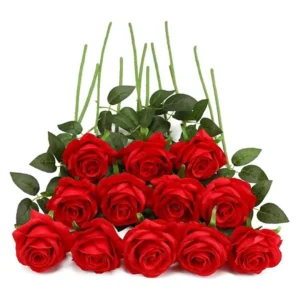 Red Rose 1 - Only Indian Products - Malaysia