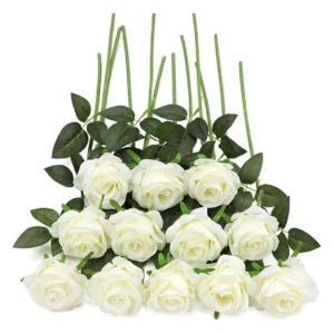 White Rose 2 - Only Indian Products - Malaysia