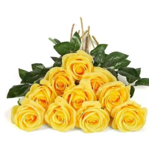 Yellow Rose 1 - Only Indian Products - Malaysia